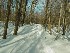Trail